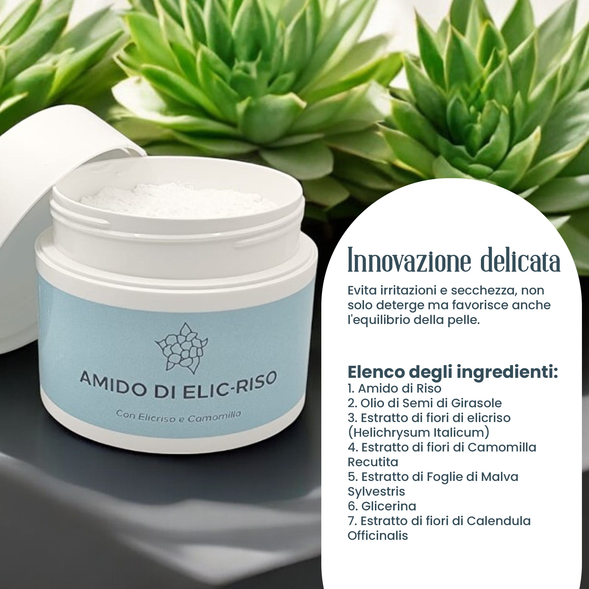Amido di ElicRiso